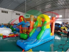 New Types Backyard Inflatable Mini Bouncer Combo with wholesale price